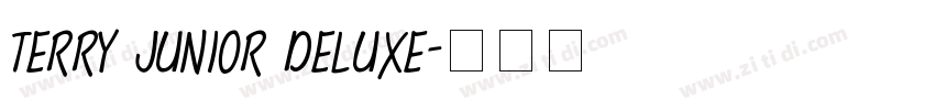 Terry Junior Deluxe字体转换